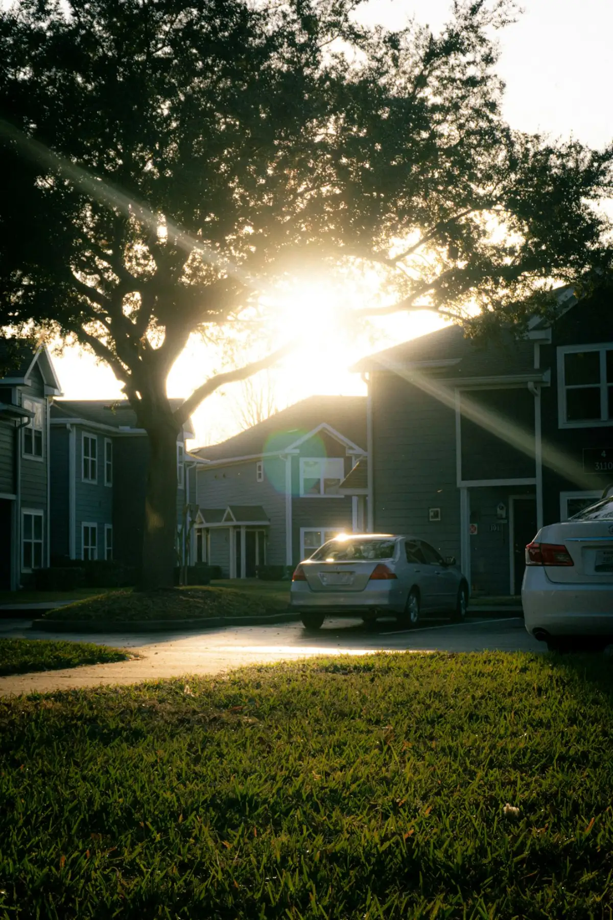 Two-story garden apartments and resident parking in warm evening light
